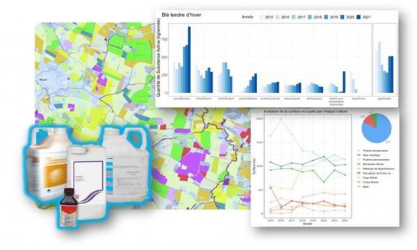 PhytosExplorer PhytosExplorer